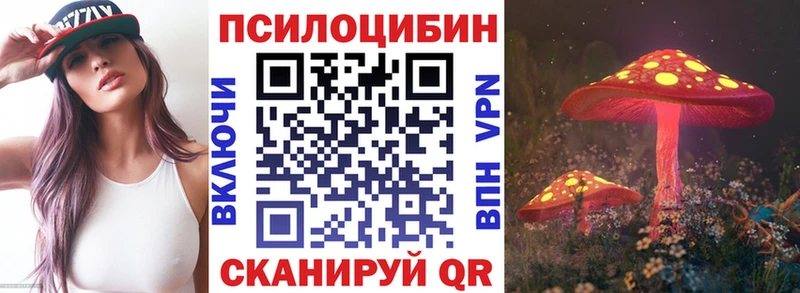 Галлюциногенные грибы прущие грибы  Рудня 